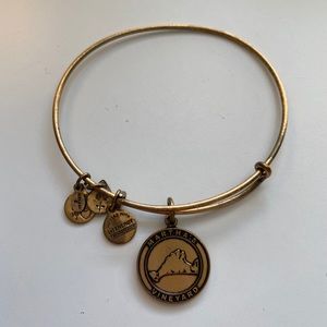 Alex and Ani Martha’s Vineyard Bracelet